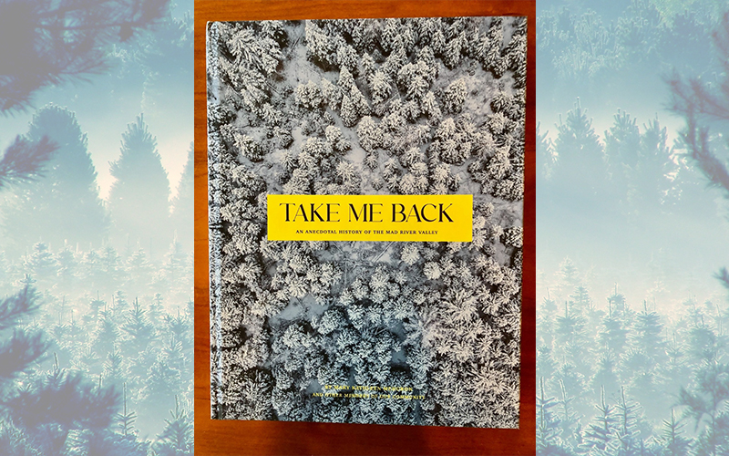 Take Me Back book cover.