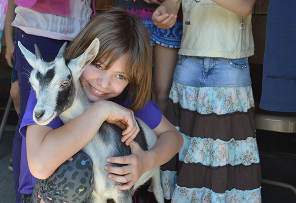 Fayston Elementary School students participated in Farm Day on May 26. Photo: Tracy Brannstrom