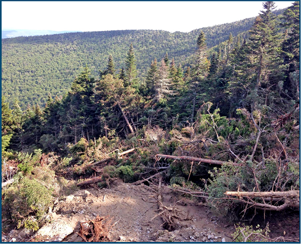A large mudslide swept down the Slide Brook area on August 24. It  started 200 feet below the Long Trail near Cutts Peak. Above, a jumble of broken trees near the bottom of the slide can be seen. Below, the slide is visible from Rolston and East Warren roads on the Green Mountains between Lincoln Peak and Mt. Ellen. Photos: Peter Stevenson