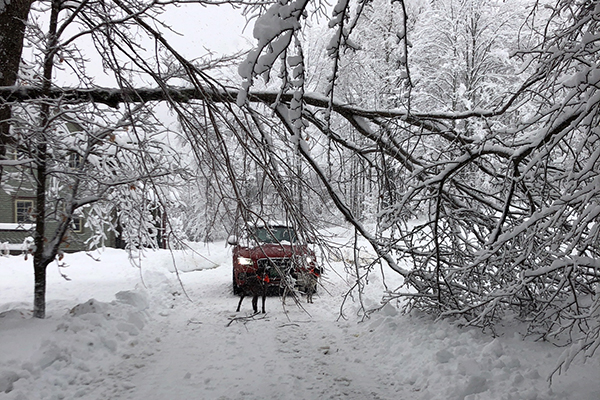 A November 27 storm dropped 2 feet of wet, heavy snow on The Valley toppling trees and knocking out power