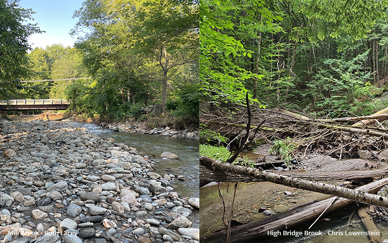 Left: Mill Brook from Ruth Lacey. Right: High Bridge Brook from Chris Lowenstein.