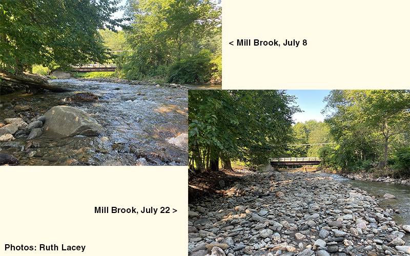 Mad River watch looks at fluvial geomorphology.