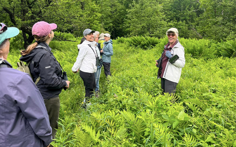 The Mad Birders gathered at the Pratt Refuge in Duxbury in early June. 