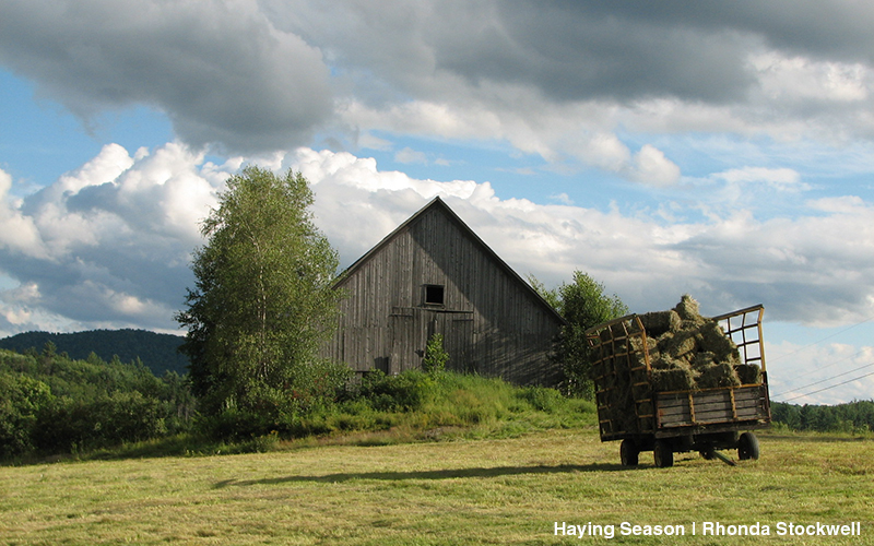 Haying Season by Granville resident Rhonda Stockwell is part of the Made in the Mountains Art Show.