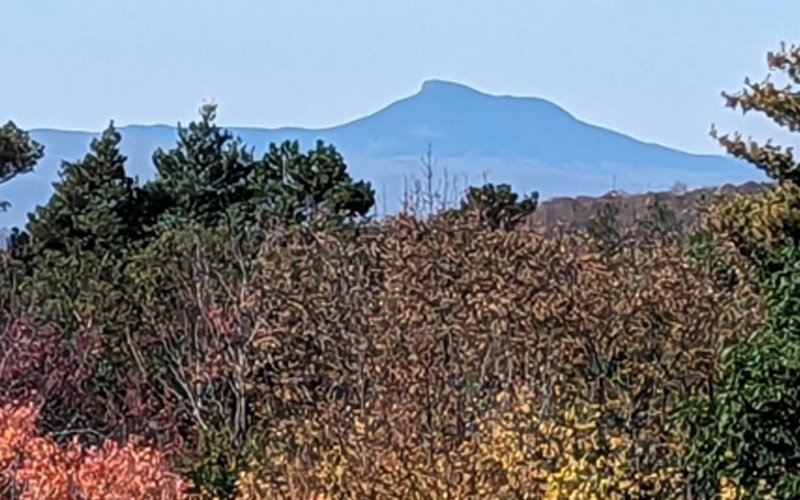 Camel's Hump photo from duxburylandtrust.org