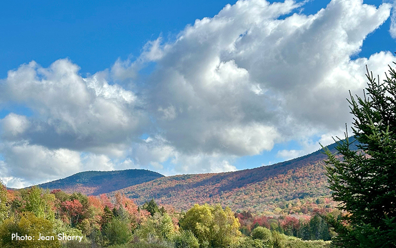 Autumn sky. Photo: Jean Sharry