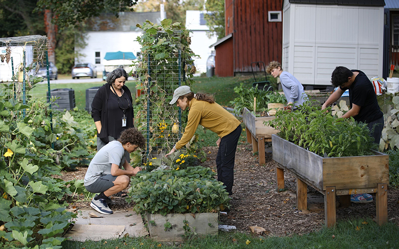 Harwood Union High School Harvest Fest. Photo: Nathaniel Furlong