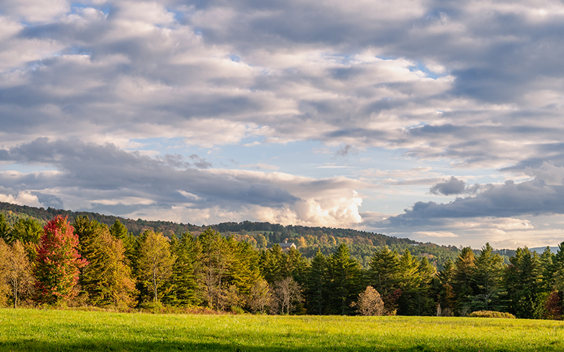 fall field and sky