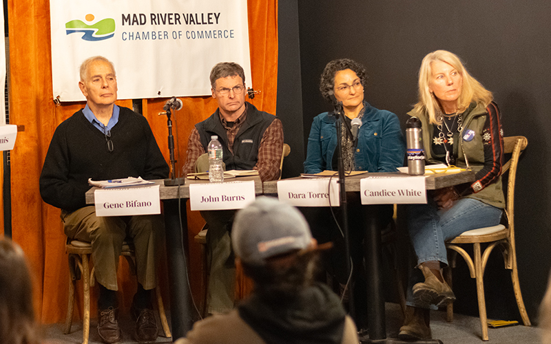 Candidates for Washington-2 Gene Bifano, John Burns, Dara Torre, and Candice White debated on Tuesday, October 15. Photo: Jeff Knight