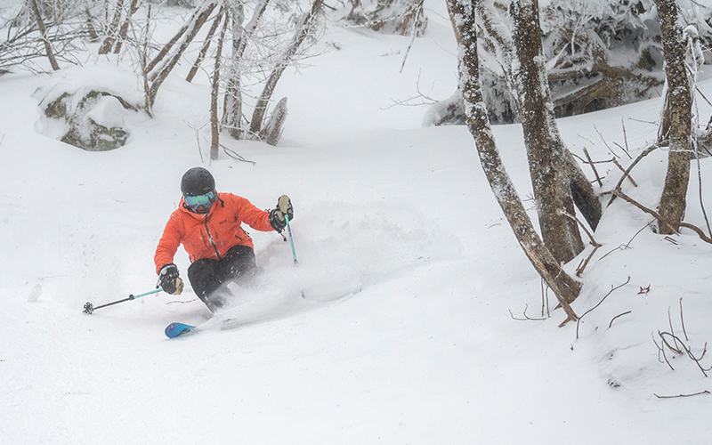 Juan Darias in undisclosed location; Mad River Glen woods. Photo by Jeb Wallace Brodeur