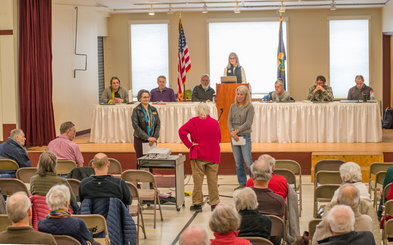 Asking questions of Mad River Valley state representatives Torre and White at Waitsfield, VT Town Meeting. Photo: Jeff Knight