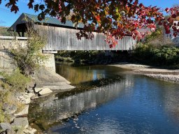 Foliage photos from Issue 5427