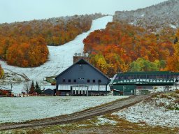 Foliage photos from Issue 5427