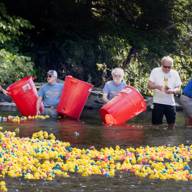 Mad River Valley Rotary Duck Race exceeds expectations