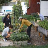 Harwood students participate in second annual Harvest Fest