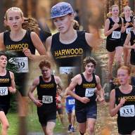 Harwood finishes fourth and fifth at Thetford Academy