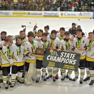 Harwood Boys' Hockey are D2 Vermont State Champions